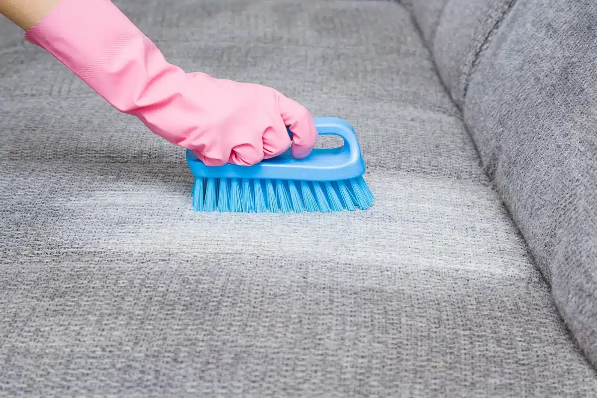 Mergulhe na sabedoria da limpeza de sofá com nossas dicas infalíveis!
